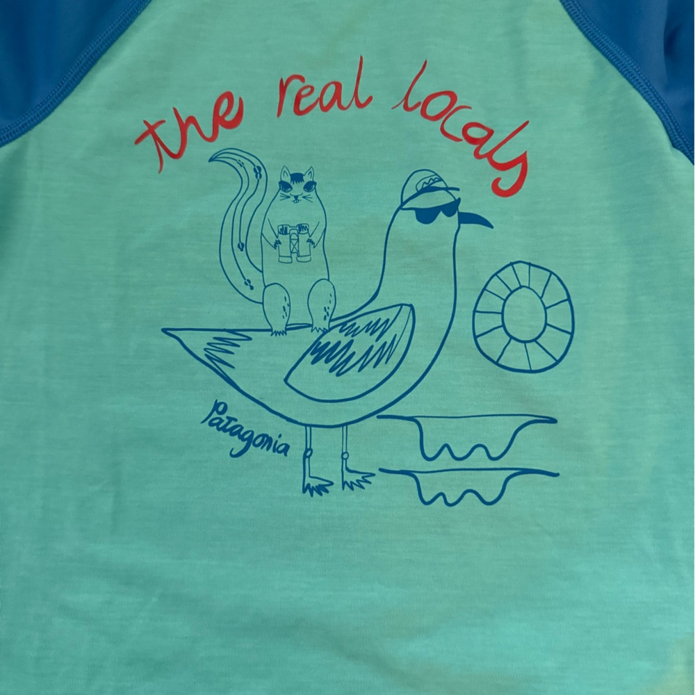 Patagonia Teal and Blue Kids Graphic Tee